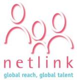 Netlink Logo
